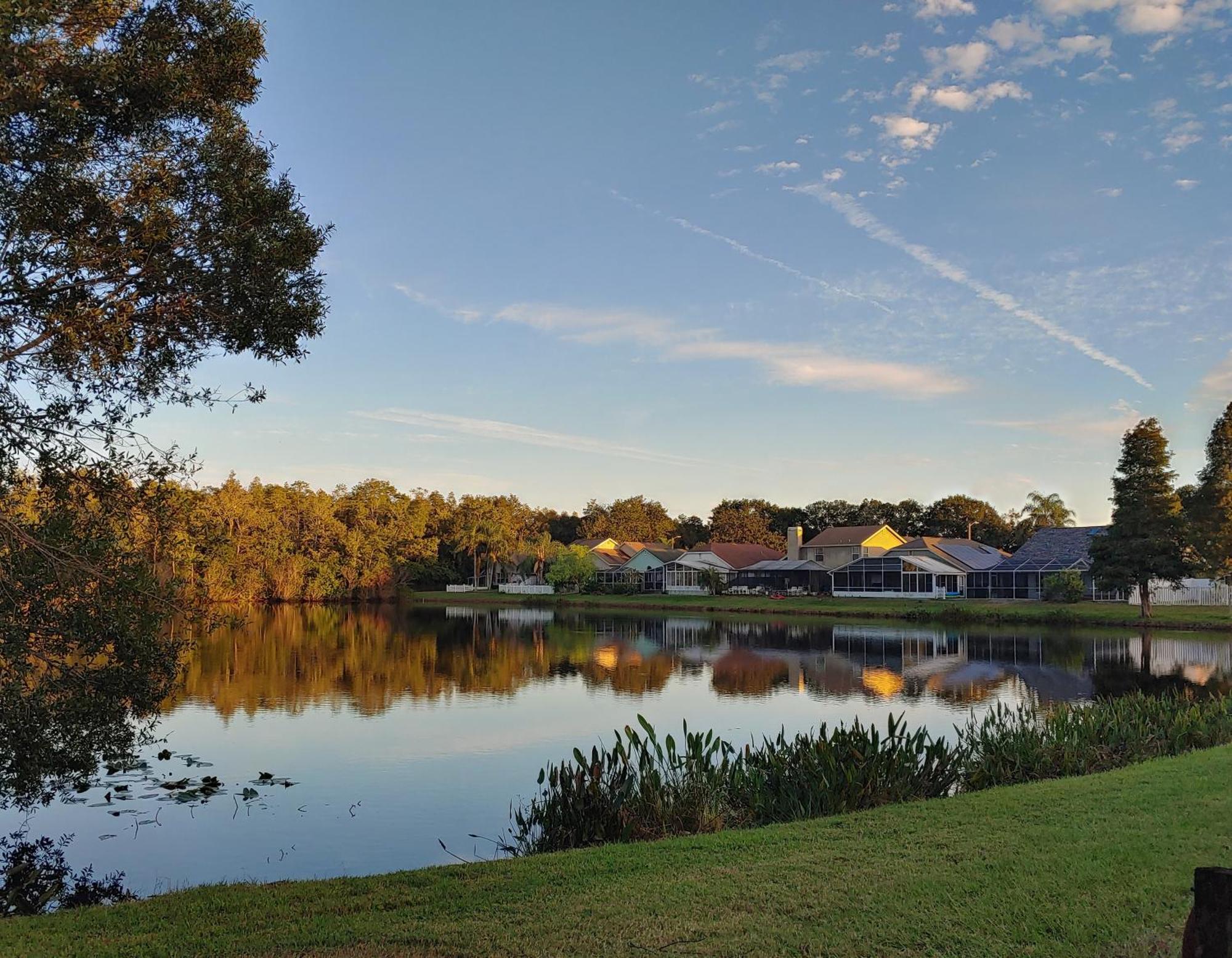 Cozy And Conveniently Located Pool Home With Free Wifi Tampa Exterior foto