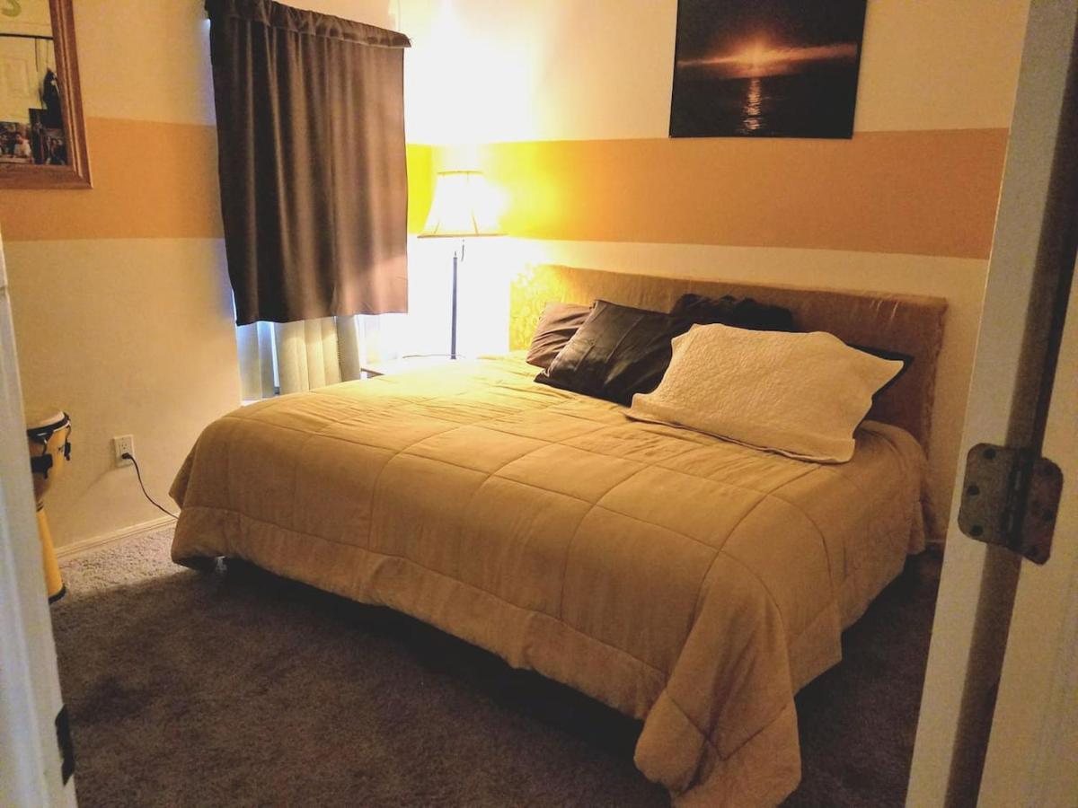 Cozy And Conveniently Located Pool Home With Free Wifi Tampa Exterior foto